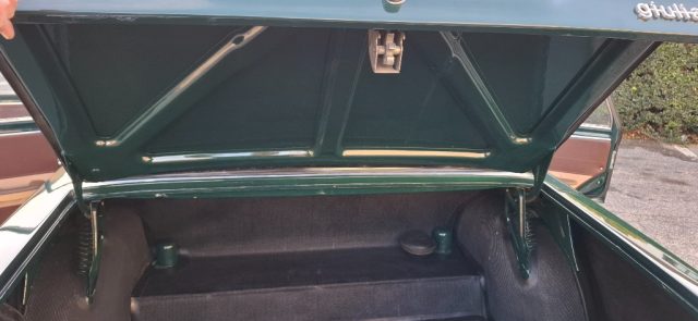 ALFA ROMEO Giulia usata 21