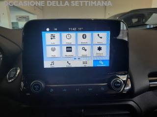 FORD EcoSport usata, con Bracciolo