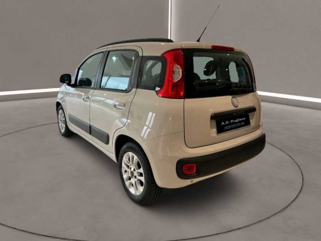 FIAT Panda usata, con Filtro antiparticolato