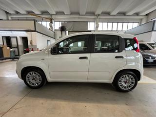 FIAT Panda usata, con Climatizzatore
