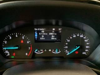 FORD Fiesta usata, con Fendinebbia