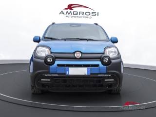 FIAT Panda usata 6