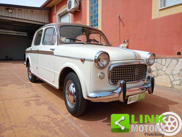 FIAT 1100 usata 5
