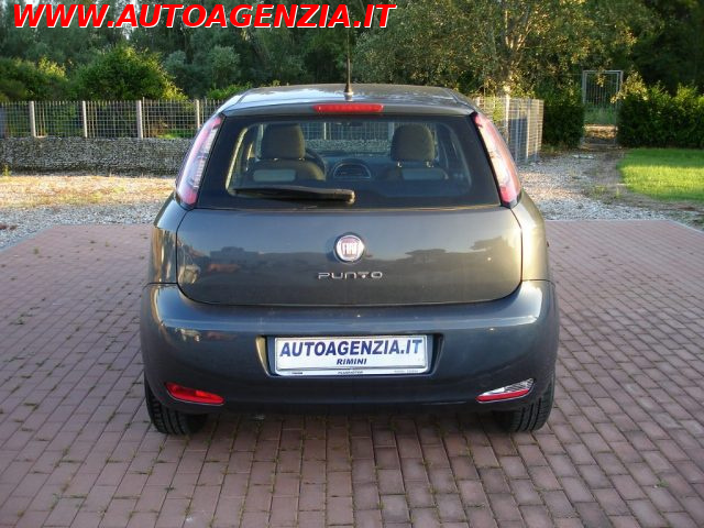 FIAT Punto usata 5