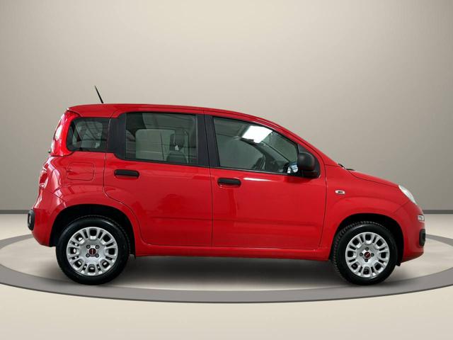 FIAT Panda usata, con Alzacristalli elettrici
