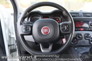 FIAT Panda usata 16