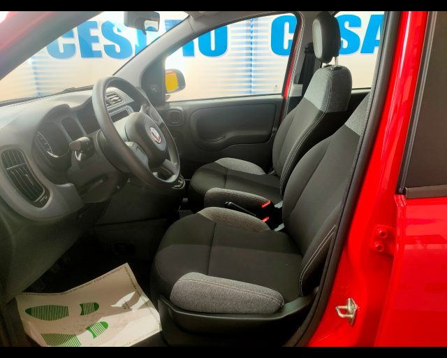 FIAT New Panda usata 12