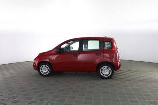 FIAT Panda usata 5