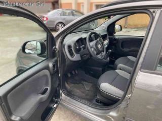 FIAT Panda usata, con Chiusura centralizzata