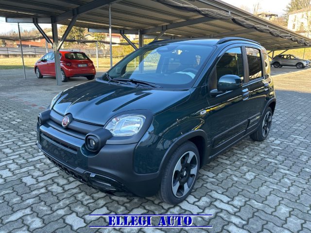 FIAT Pandina usata, con Controllo trazione