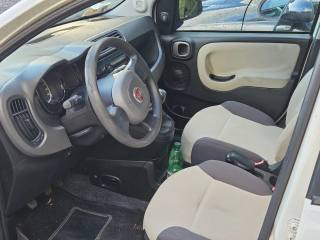 FIAT Panda usata, con Chiusura centralizzata