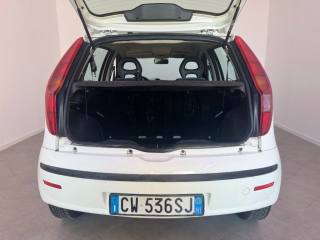 FIAT Punto usata 11
