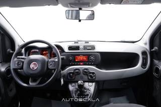 FIAT New Panda usata 22