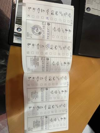 BMW Z4 usata, con Bracciolo