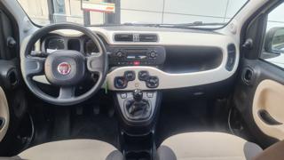 FIAT Panda usata, con Alzacristalli elettrici