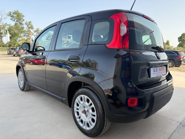 FIAT Panda usata, con Controllo trazione