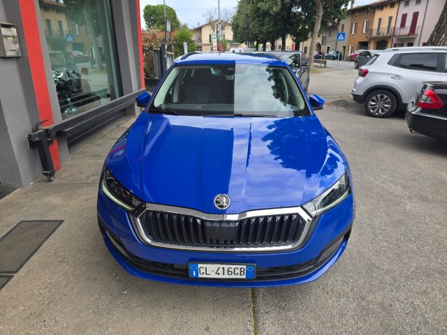 SKODA Octavia usata 142