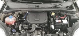 FIAT Panda usata 50