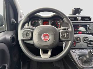 FIAT Panda usata 12