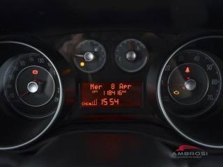 FIAT Punto usata 12