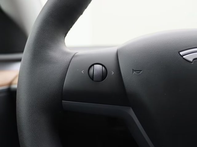 TESLA Model Y usata, con Interni in pelle