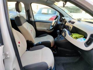FIAT Panda usata 15