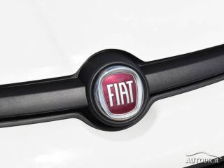 FIAT Panda usata 32