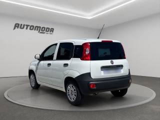FIAT Panda usata, con ESP
