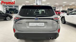 SUBARU Forester usata, con Cruise Control