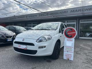 FIAT Punto 1.4 8V 5 porte Natural Power Street