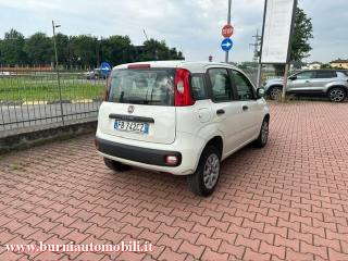 FIAT Panda usata, con Autoradio