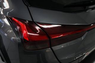 LEXUS UX 250h usata, con Airbag testa