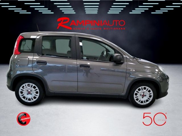 FIAT Panda usata 5