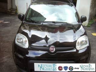 FIAT Panda usata, con Climatizzatore
