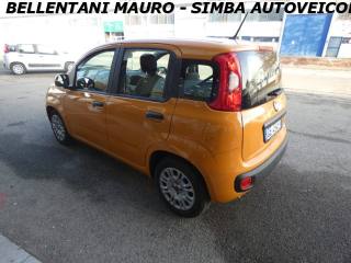 FIAT Panda usata, con Chiusura centralizzata