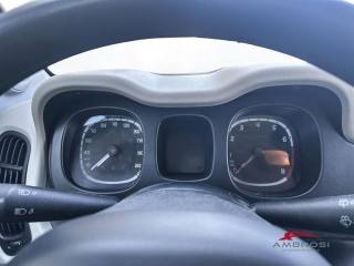 FIAT Panda usata 10