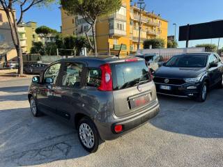 FIAT Panda usata, con Airbag Passeggero