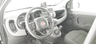 FIAT Panda usata 45