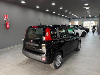 FIAT Pandina usata, con Cerchioni in acciaio