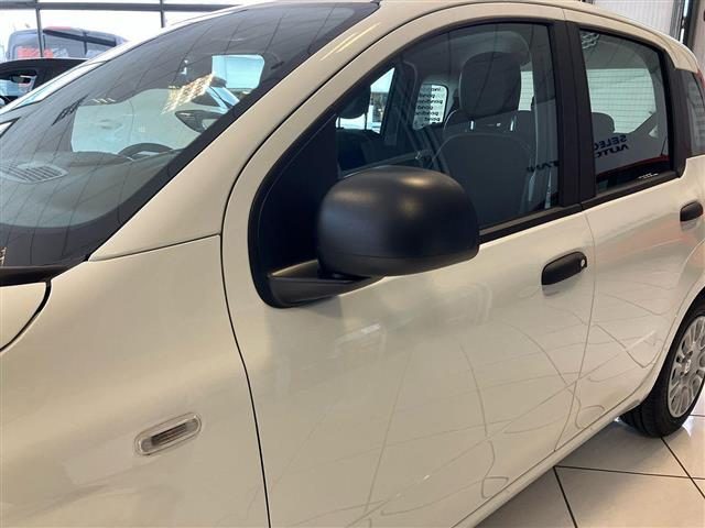 FIAT Panda usata 14