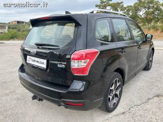 SUBARU Forester usata, con Cruise Control