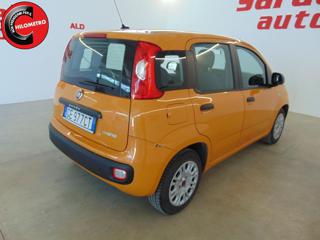 FIAT Panda usata, con Immobilizzatore elettronico
