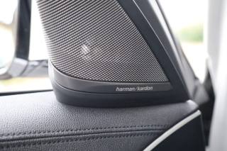 BMW 530 usata 101