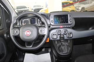 FIAT Panda usata, con Controllo trazione