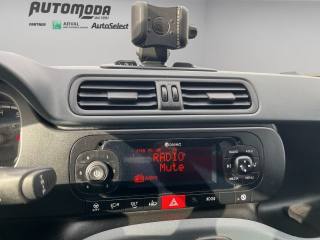 FIAT Panda usata 13