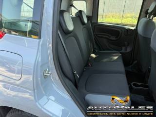 FIAT Panda usata, con Cronologia tagliandi