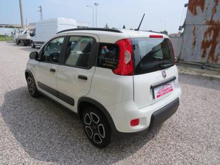 FIAT Panda usata, con Controllo trazione
