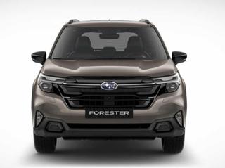 SUBARU Forester usata, con Airbag Passeggero