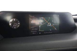 LEXUS Other usata 10