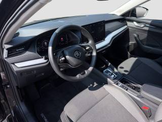 SKODA Octavia usata 8